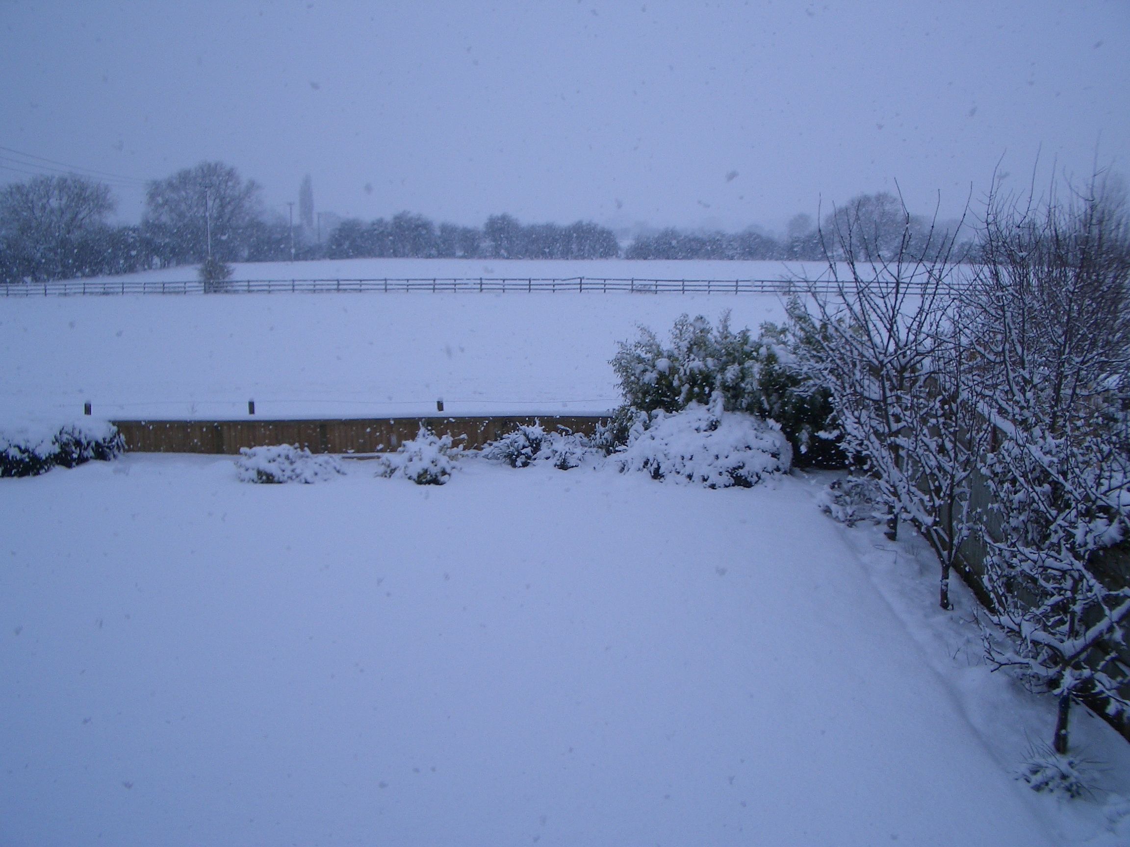 February 2009