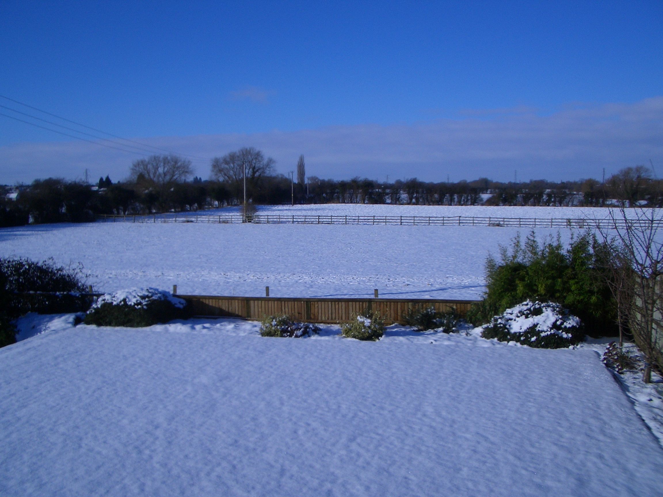 February 2009