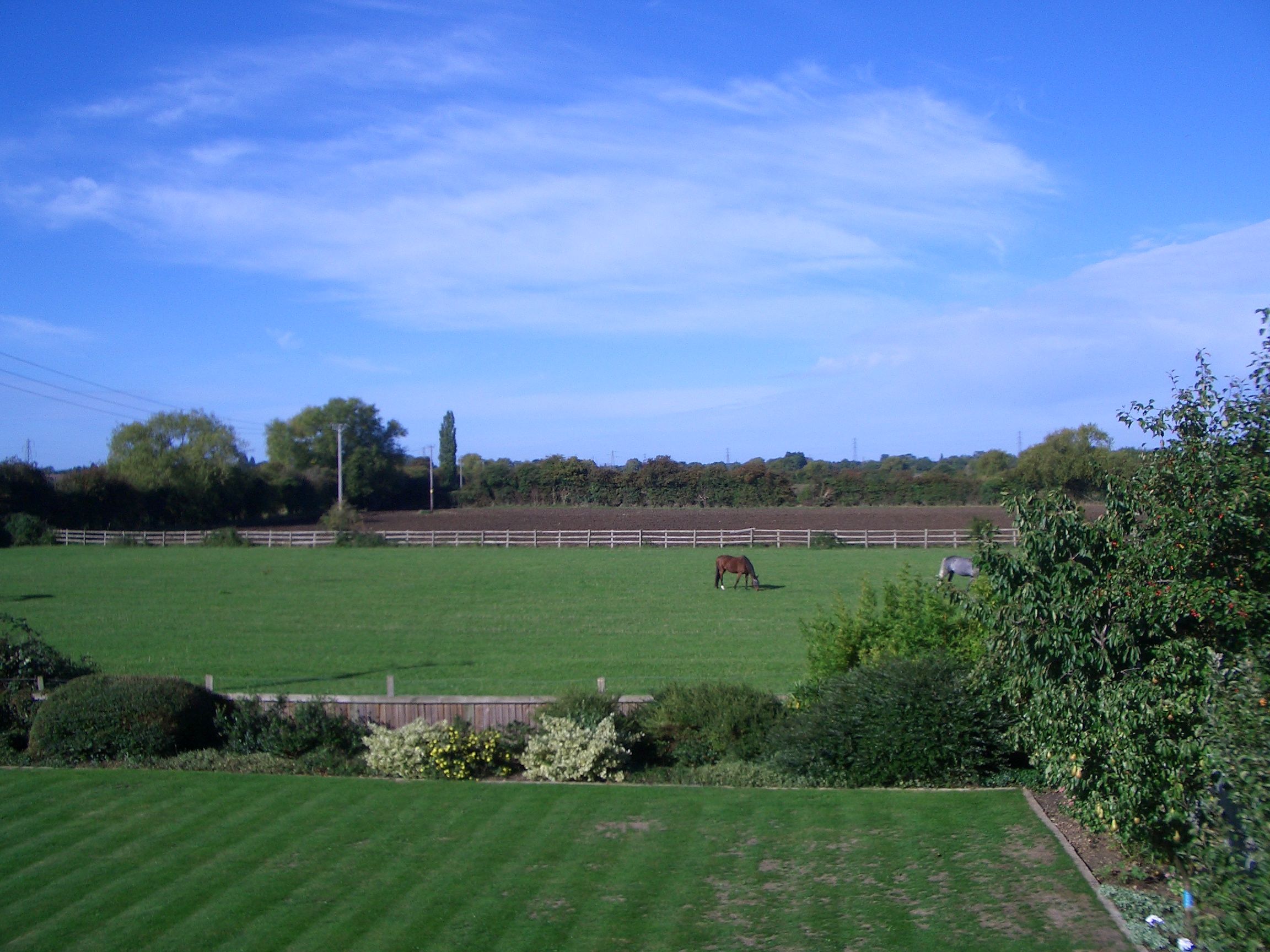 September 2010