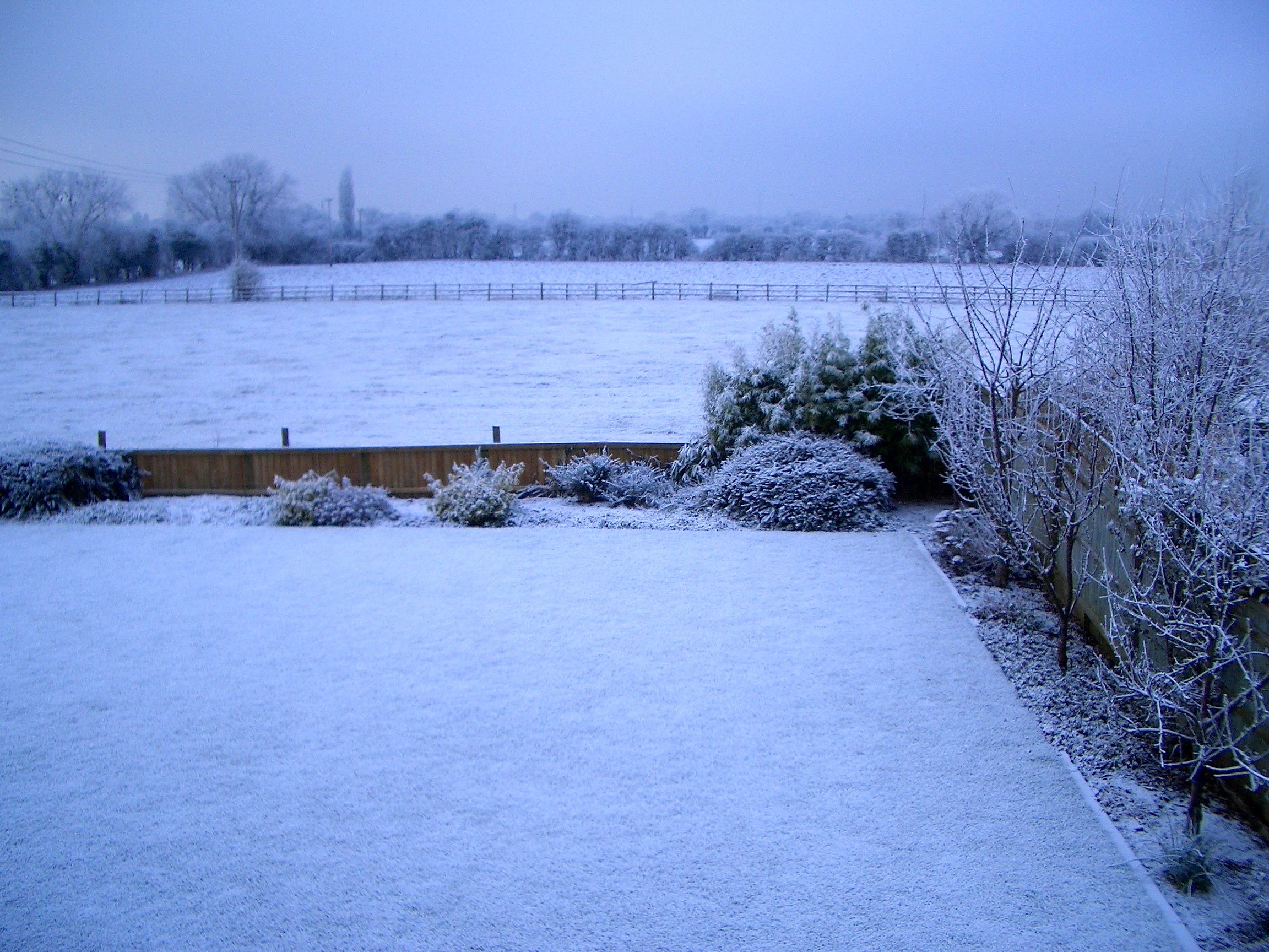 January 2009