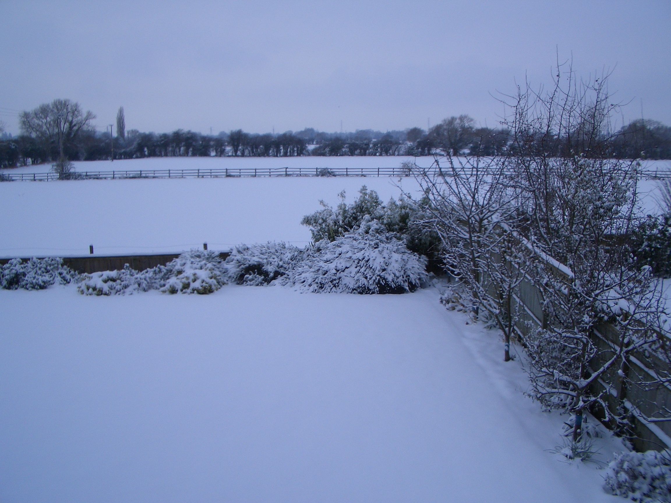 December 2010