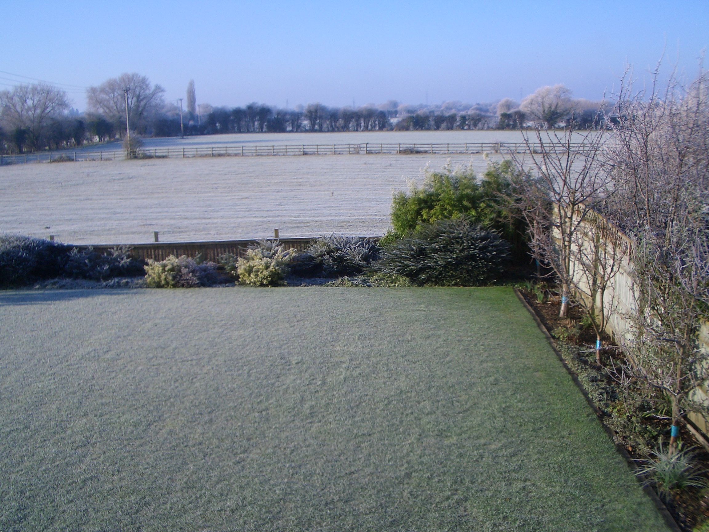 January 2010