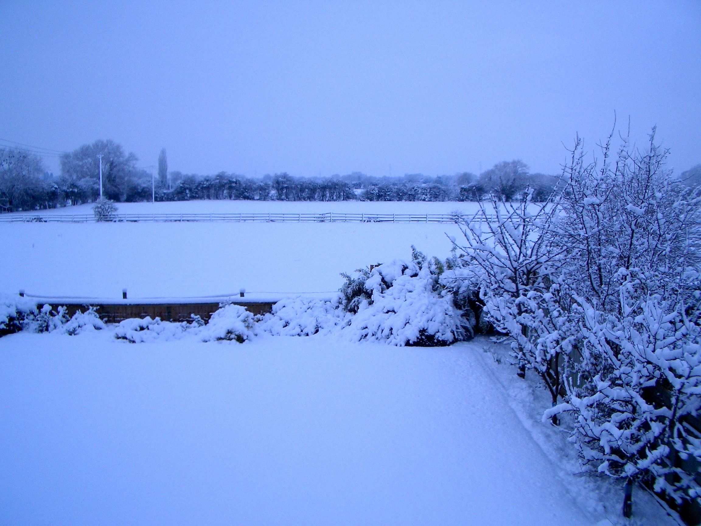 January 2010