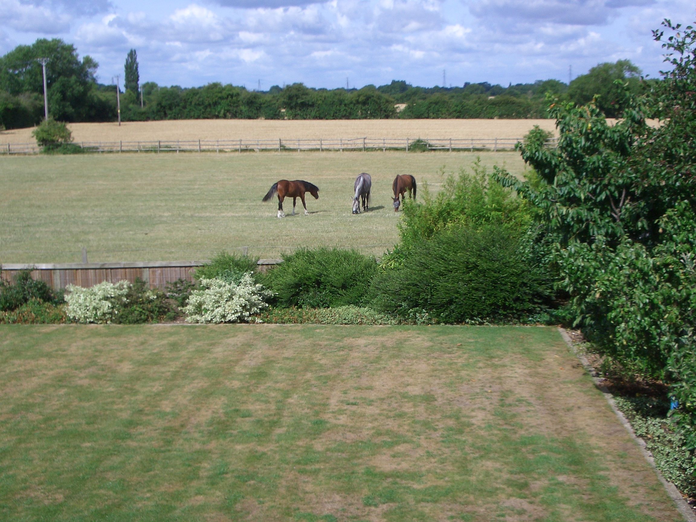 July 2010