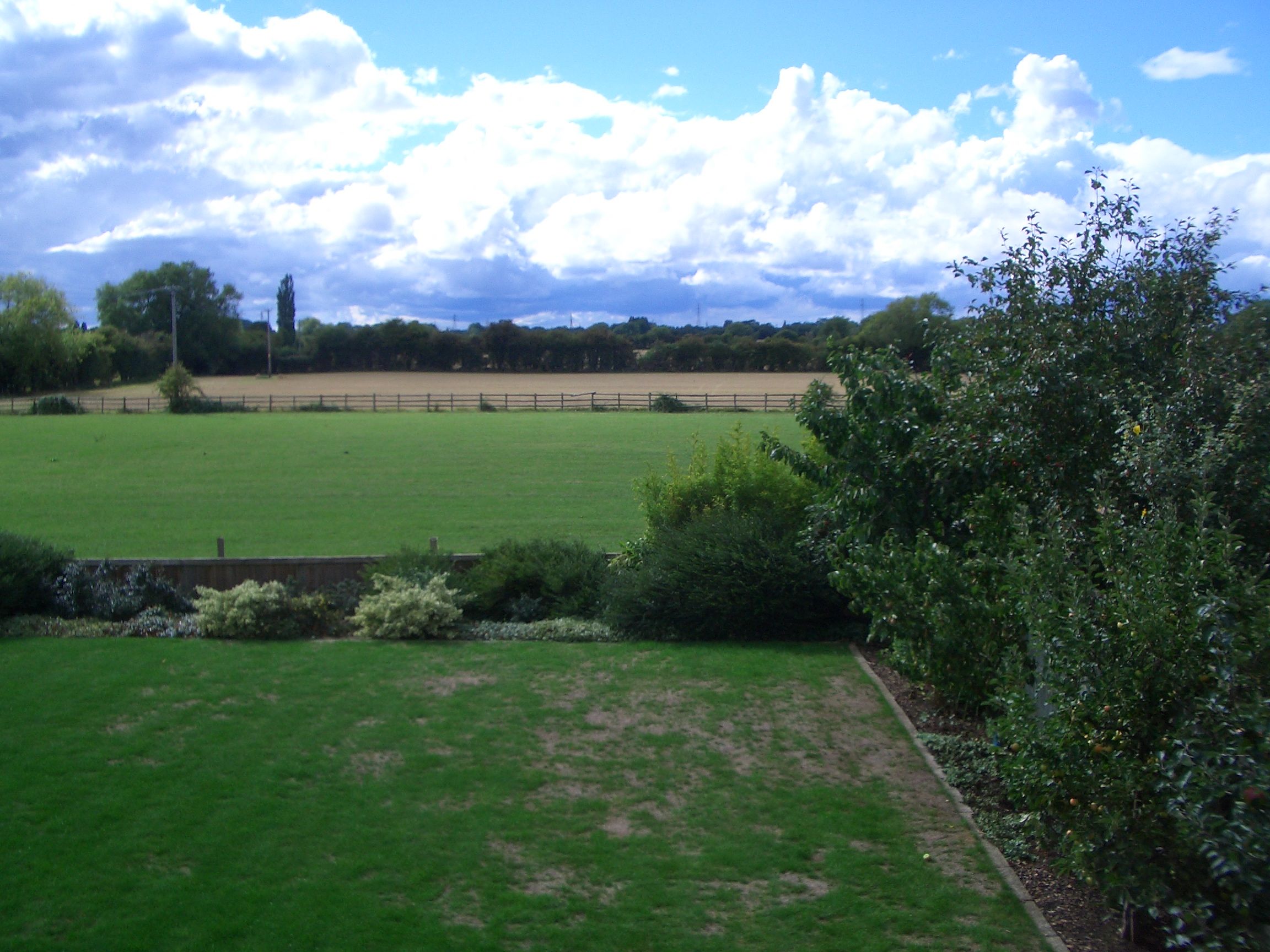 August 2010