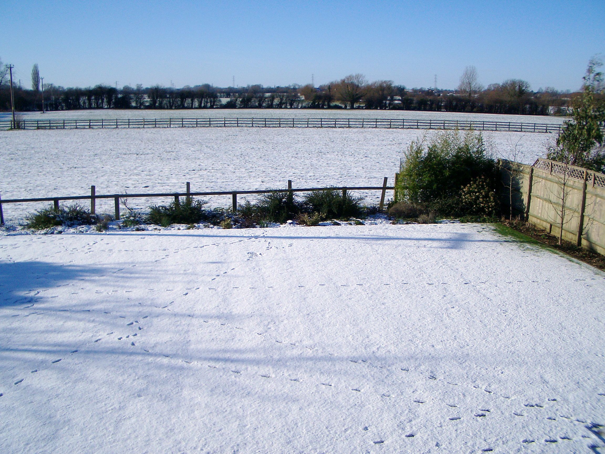 January 2004
