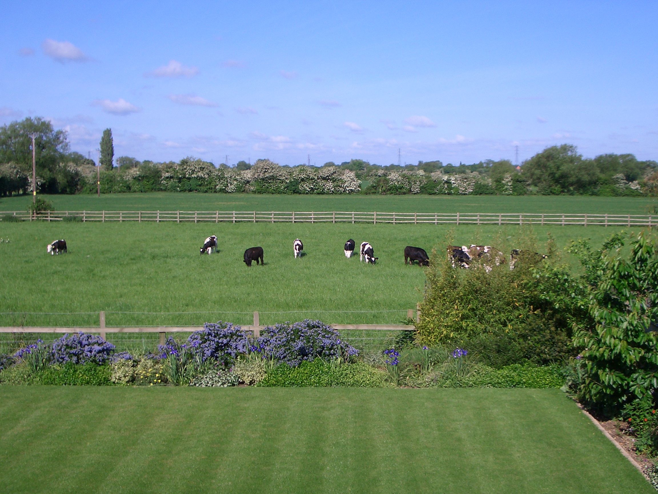 May 2004