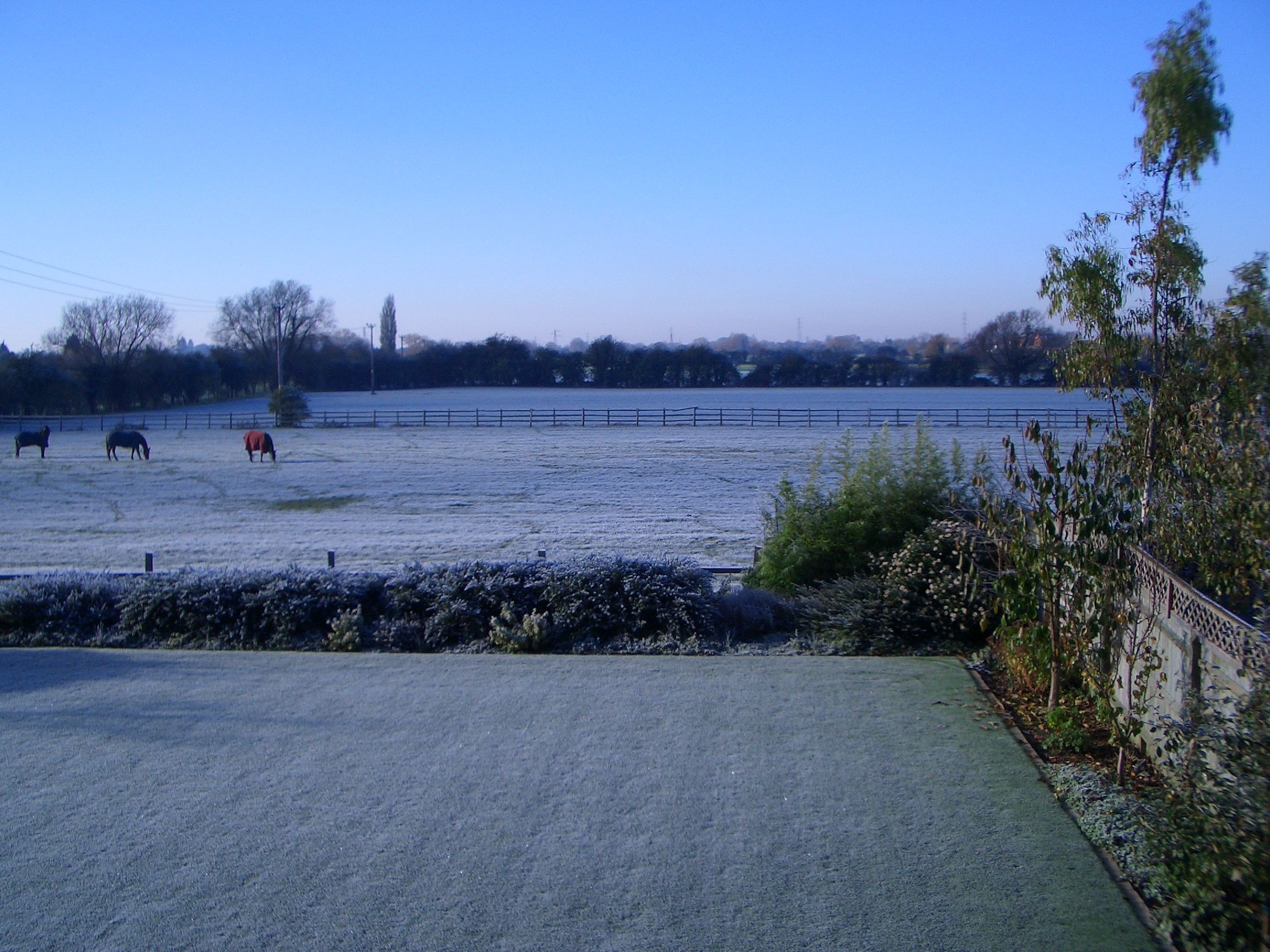 November 2005
