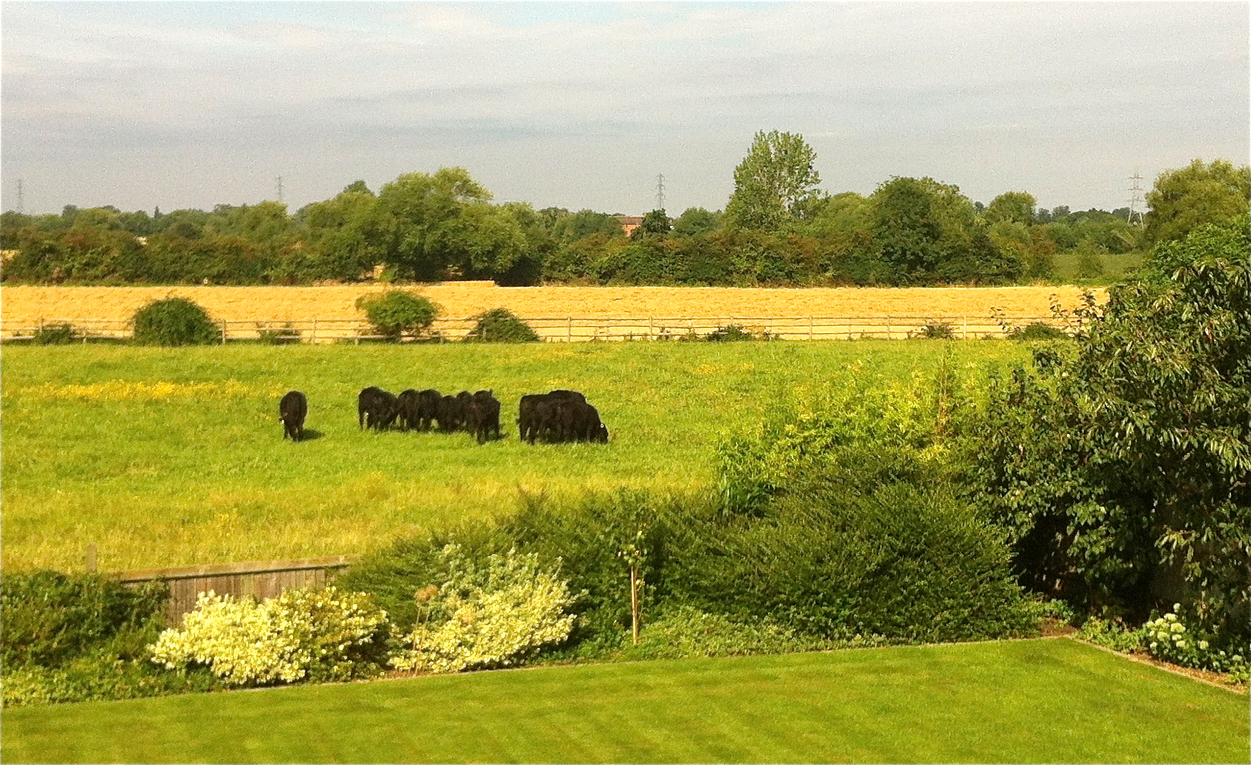 August 2012