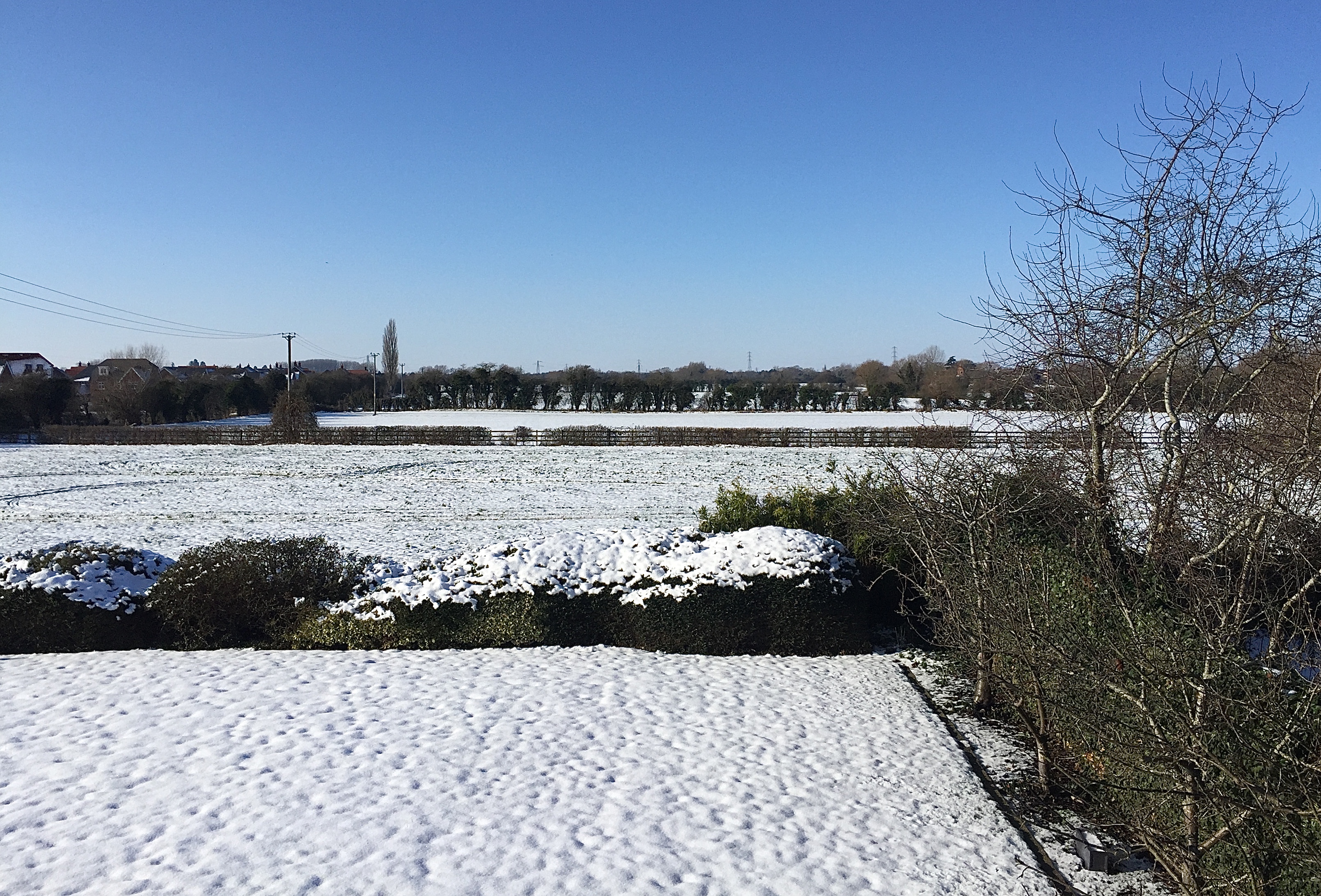February 2019b