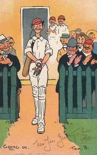 Cricket - Going In