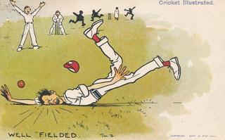 Cricket Illustrated - Well Fielded