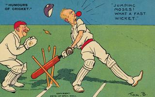 Humours of Cricket - A fast wicket