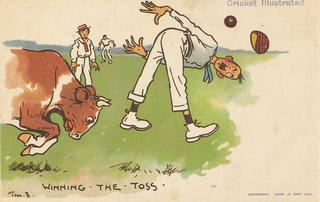 Cricket Illustrated - Winning the Toss