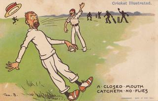 Cricket Illustrated - A Closed Mouth catcheth no Flies