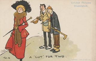Cricket Phrases Illustrated - A Cut for Two