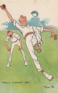 Cricket - Well caught, Sir!