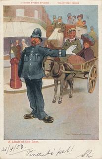 A Limb of the Law
