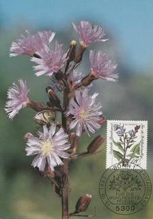 PC_Bundespost_BDR32-83
