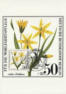PC_Bundespost_Sonderpostwertzeichen16a