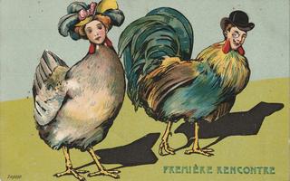 PC_Comic_Fr-GameBirds01