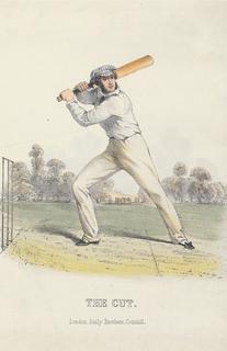 PC_Cricket0025
