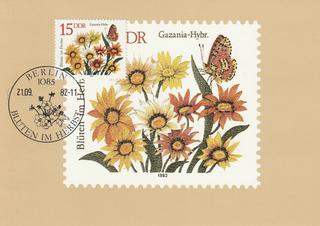 PC_DDR-Herbstblüten03
