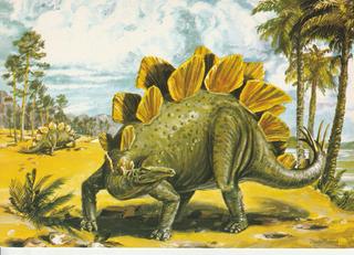 PC_Dinosaur-NovusPPH22174