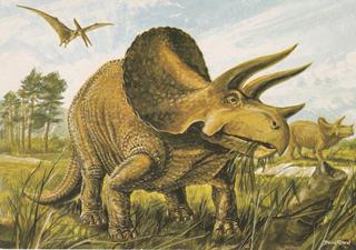 PC_Dinosaur-NovusPPH22180