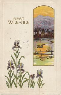 PC_Greetings-BirthdayUS-JBC8604