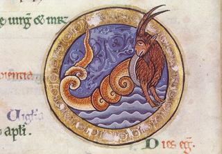Capricorn - PC_MSHunter06