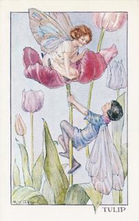 Tulip Fairies