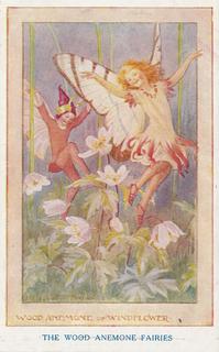 Countryside Fairies - Wood Anemone Fairies