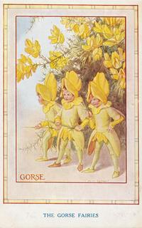 Countryside Fairies - Gorse Fairies