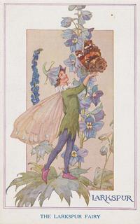 Garden Fairies - Larkspur