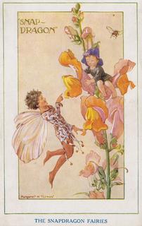 Garden Fairies - Snapdragon