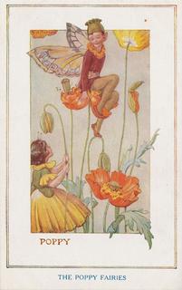 Garden Fairies - Poppy