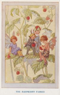 Garden Fairies - Raspberry