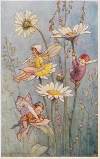 Pixie Time