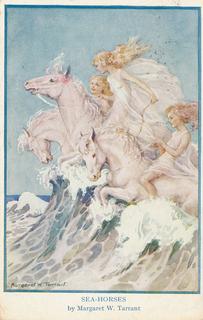 Sea Horses