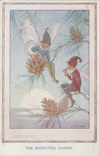 Countryside Fairies = Scots-Pime Fairies