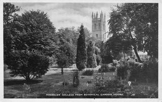 Magdalen College from Botanical Gardens