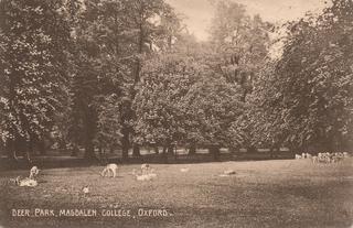 Magdalen College Deer Park