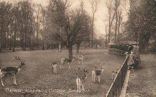 Magdalen College Deer Park