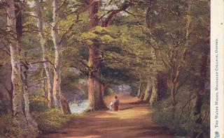 The Water Walks (Addison’s Walk), Magdalen College