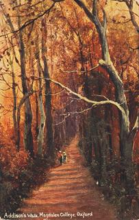 Addison’s Walk
