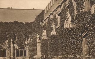 The Cloisters, Magdalen College