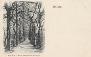 Addison’s Walk