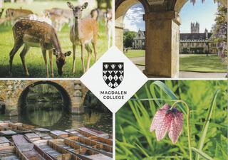 Modern multiview card of Magdalen College