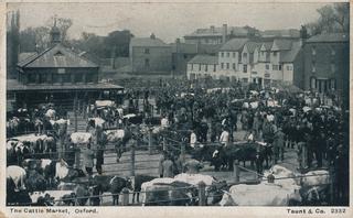The Cattle Market, Oxford